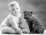 bebe et chien